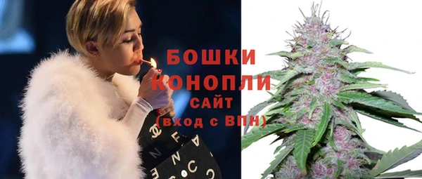 молекула духа Нефтекумск