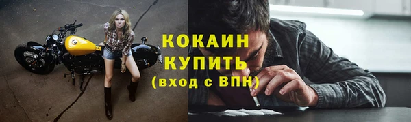 гашик Нея