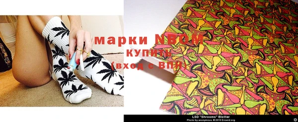 гашик Нея