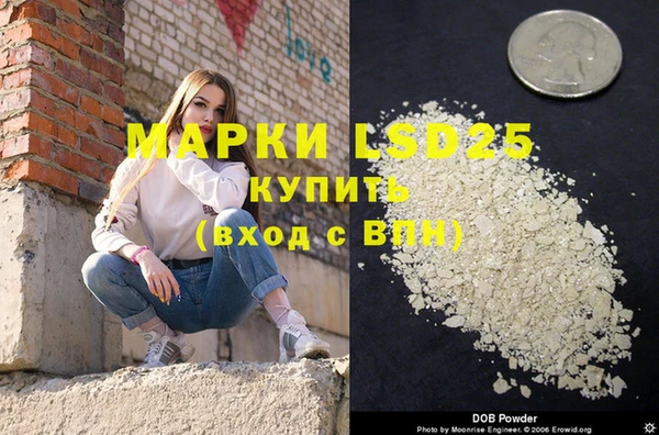 гашик Нея
