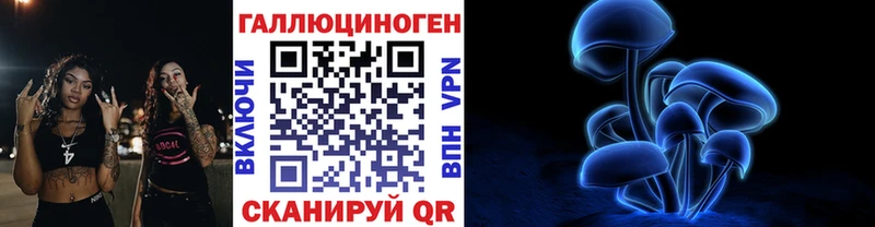 гидра ССЫЛКА  Скопин  Псилоцибиновые грибы Psilocybine cubensis 
